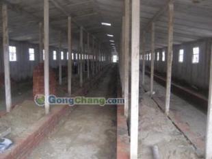 河北誠信蔬菜大棚 優(yōu)質(zhì)供應(yīng)商與出售指南