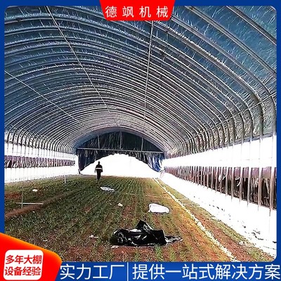 專業蔬菜大棚建設 從圖片到現實的全面指南
